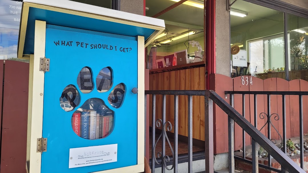 Ace Dog Grooming Studio entrance — blue paw print reading box and studio door at 834 N Hollywood Way