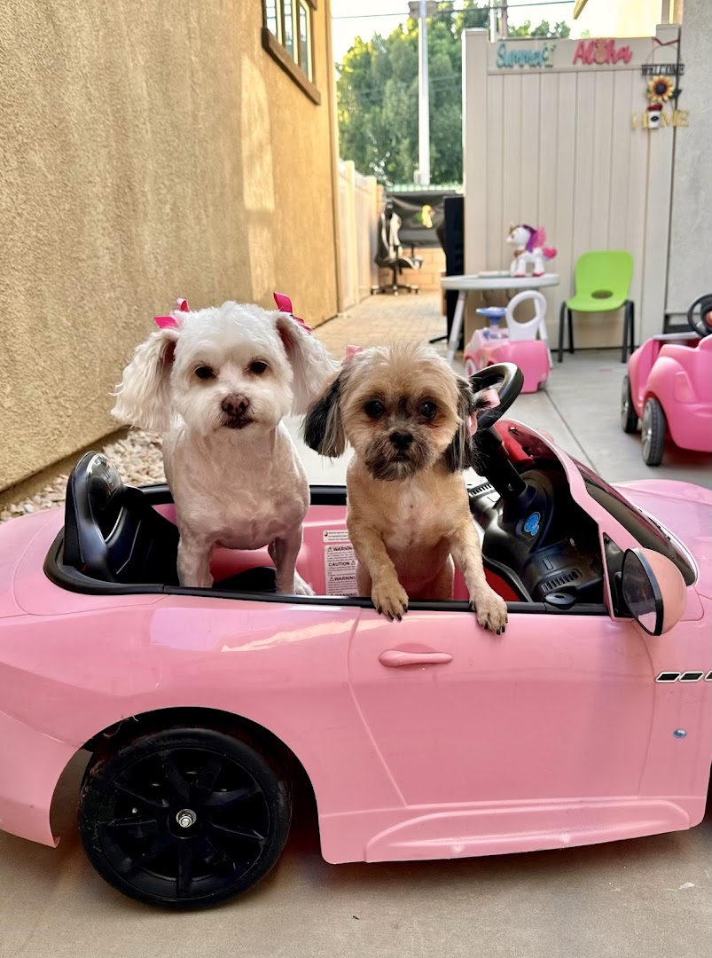 Inside Art's Grooming and Pet Supplies shop in San Fernando