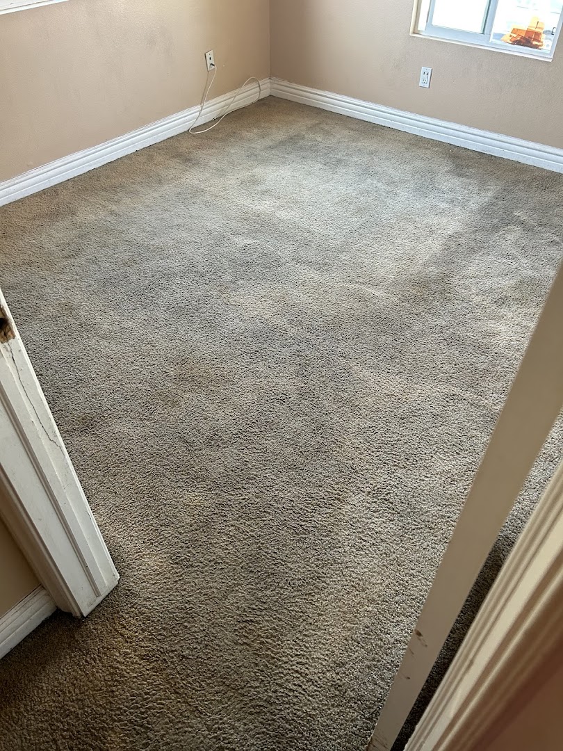 Clean Vibes carpet cleaning — freshly shampooed carpet interior showing clean results