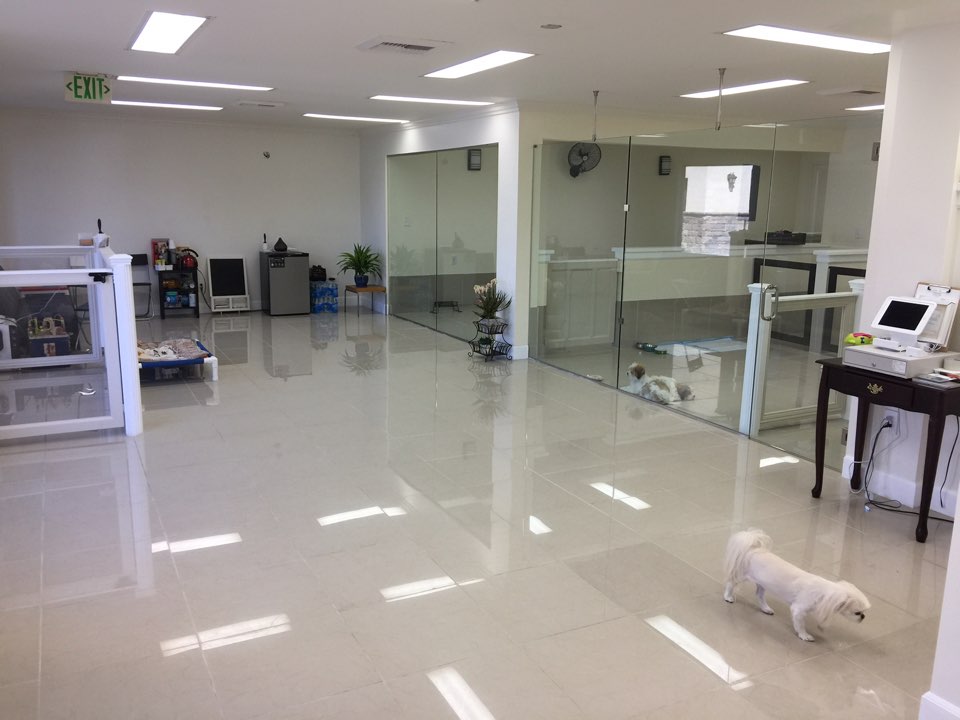Spotless grooming studio interior at Doggi Dogi
